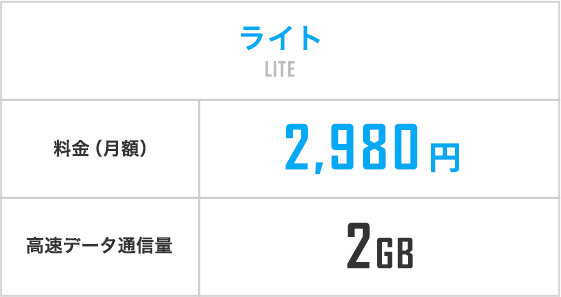 ライト 2,980円